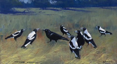 A group of magpies and a raven stand together in a field of waving yellow grass, with trees and sky in the background