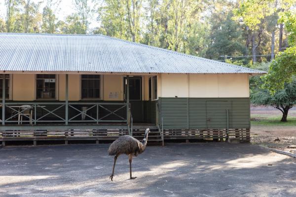 Donnelly River Village Museum Overview