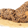 Guess what this is