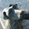 Faithful friend