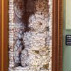 A convict’s wedding gift