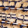 Samples of wool clip from all the local stations