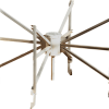 Square Kilometre Array antennae