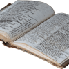 Patrick Taylor's diary