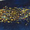 ‘“Skylab over Albany” by William H. Murray