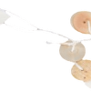 Pearl Shell buttons