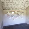 Collection of Stories