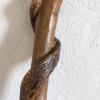 Walking Stick