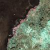 Viridescent deposit