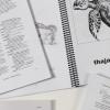 A library of languages