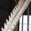 Sperm Whale Skeleton