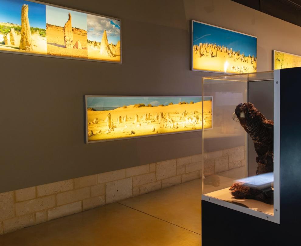 Pinnacles Desert Discovery Centre Overview