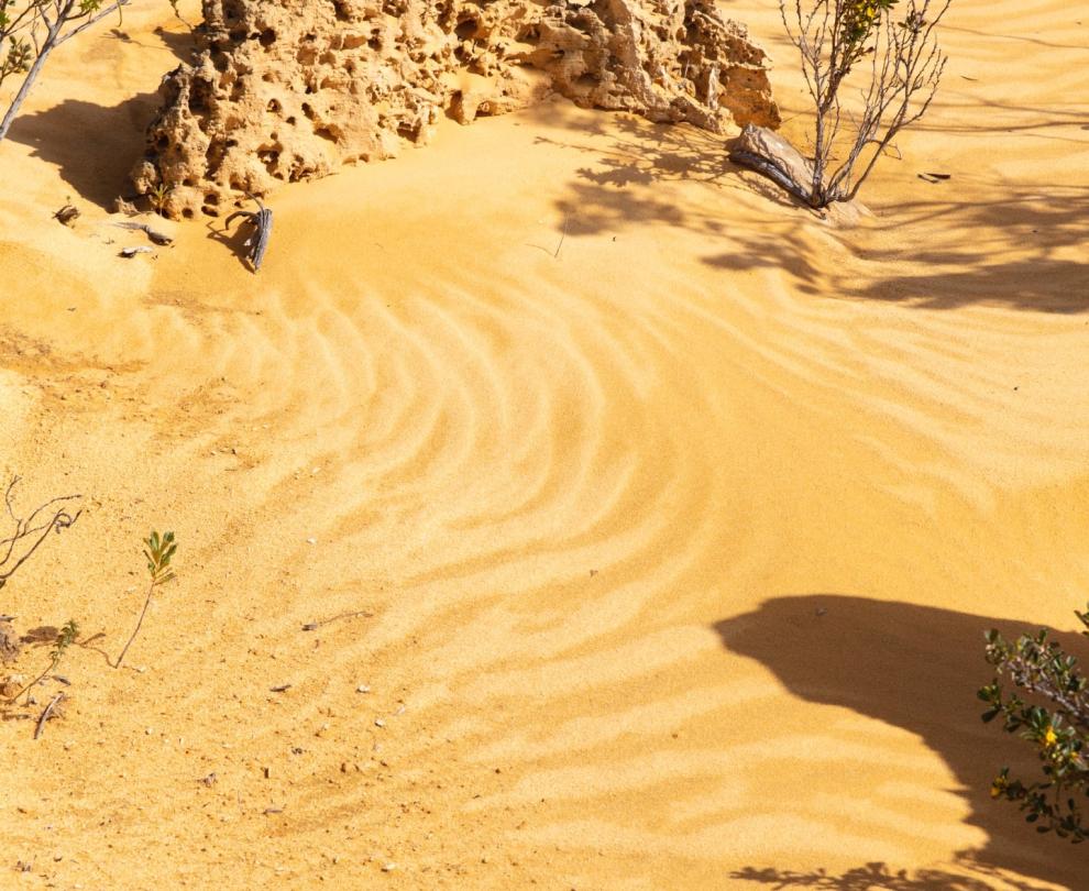 Pinnacles Desert Discovery Centre Overview