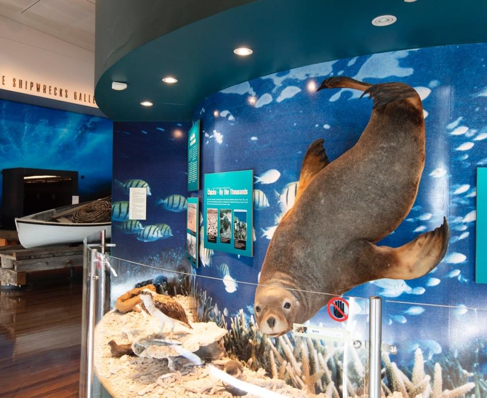 Museum of Geraldton Overview