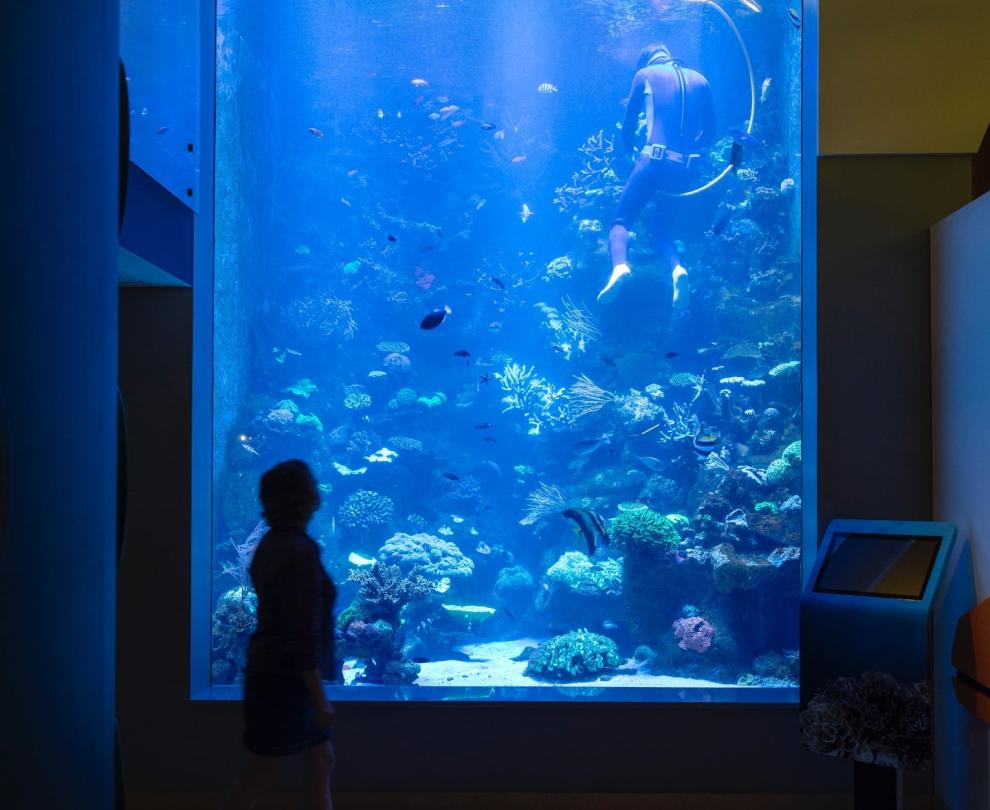 Ningaloo Centre Overview