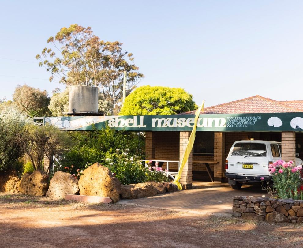 Belleview Shell Collection Overview