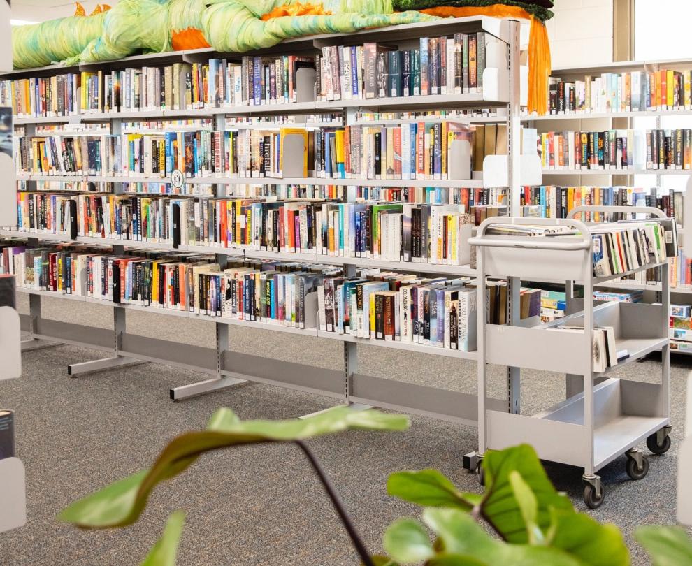 Shire of Broome Library Collection Overview