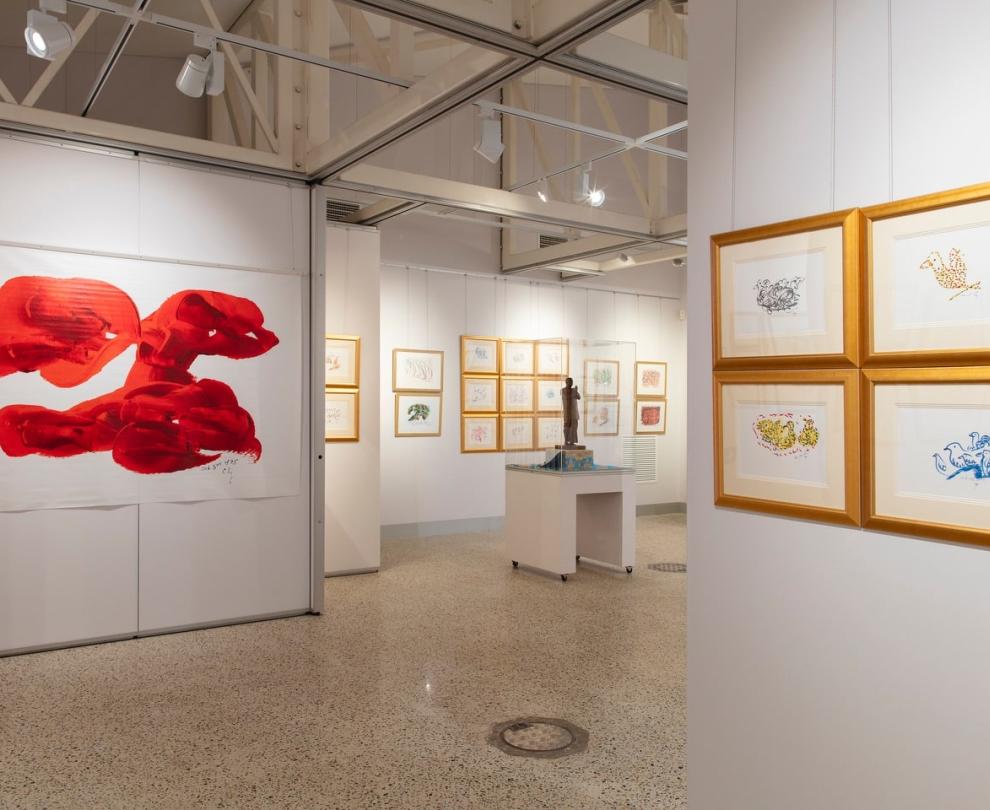 Collie Regional Art Gallery Overview