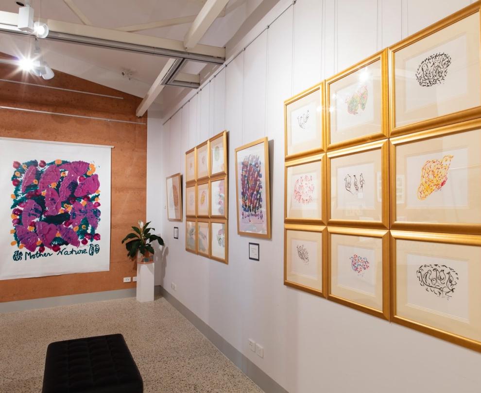 Collie Regional Art Gallery Overview