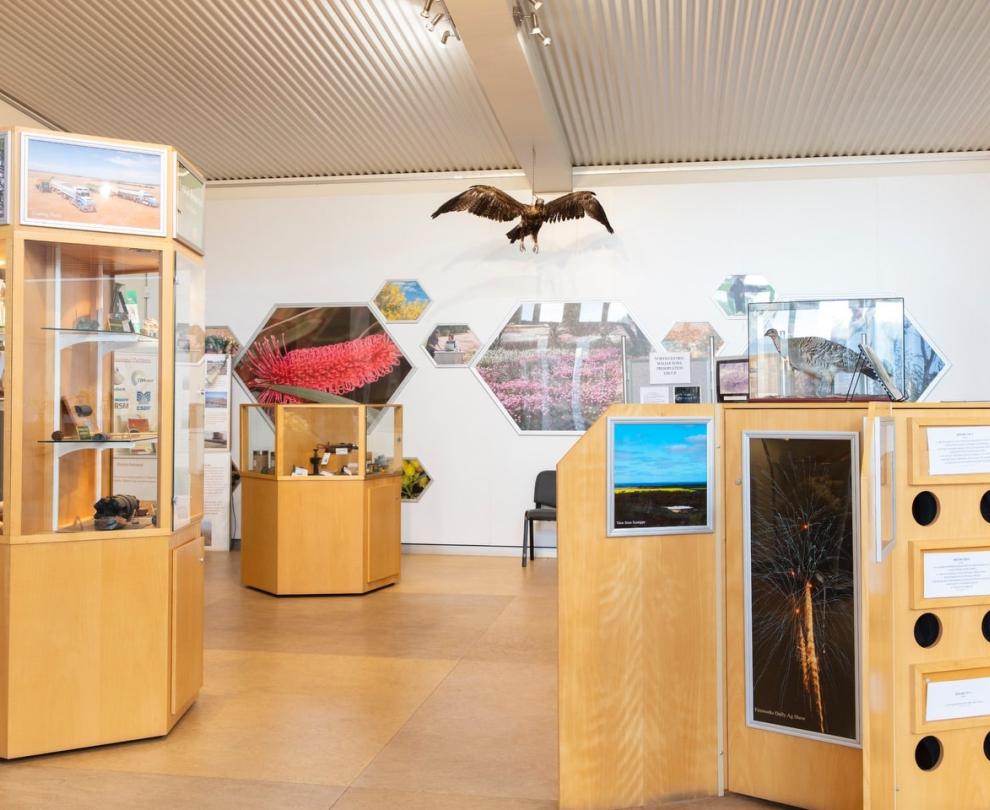 Dalwallinu Discovery Centre Overview