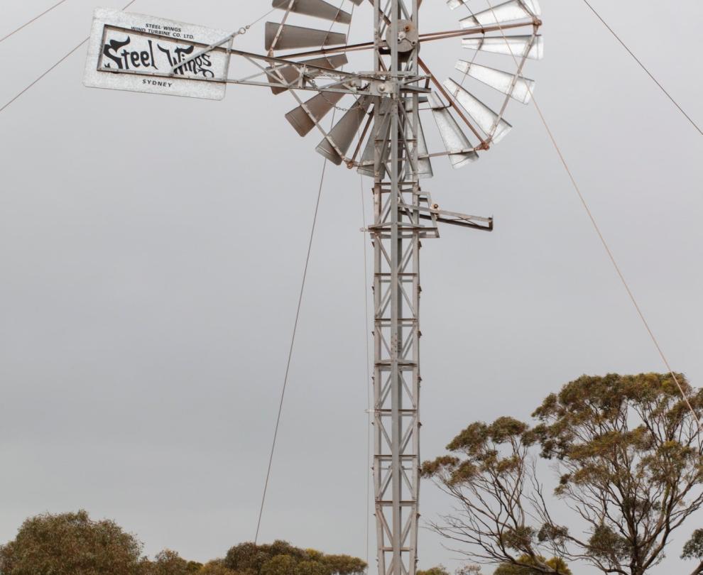 The Windmills Shed Overview