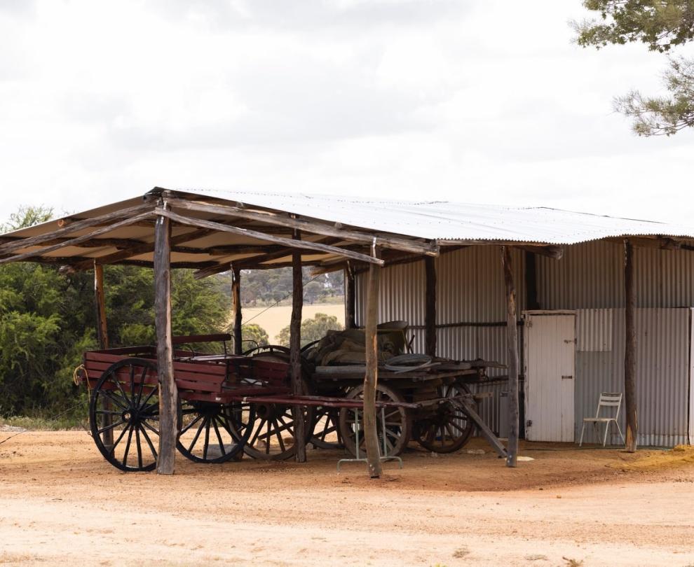 Mangowine Homestead Overview