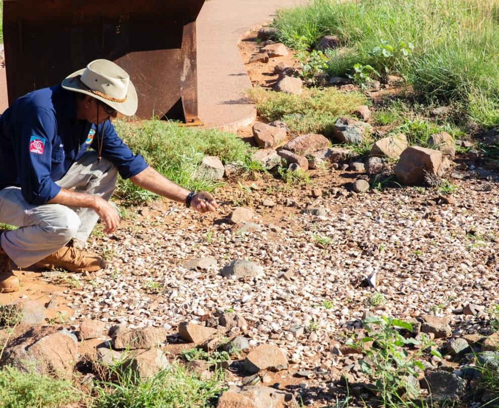 Nganjarli walk trail, Murujuga Overview