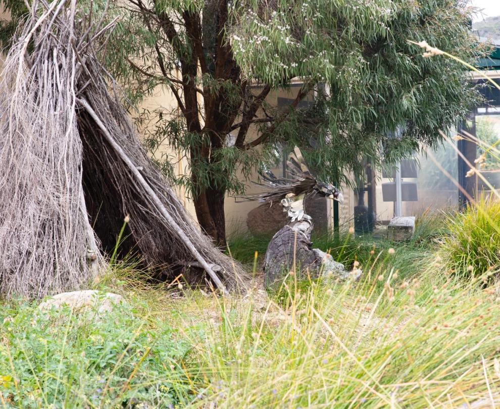 Museum of the Great Southern Overview