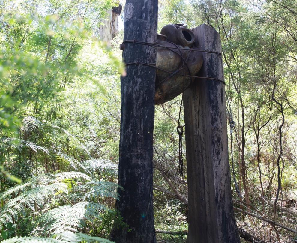 Northcliffe Visitors Centre Overview