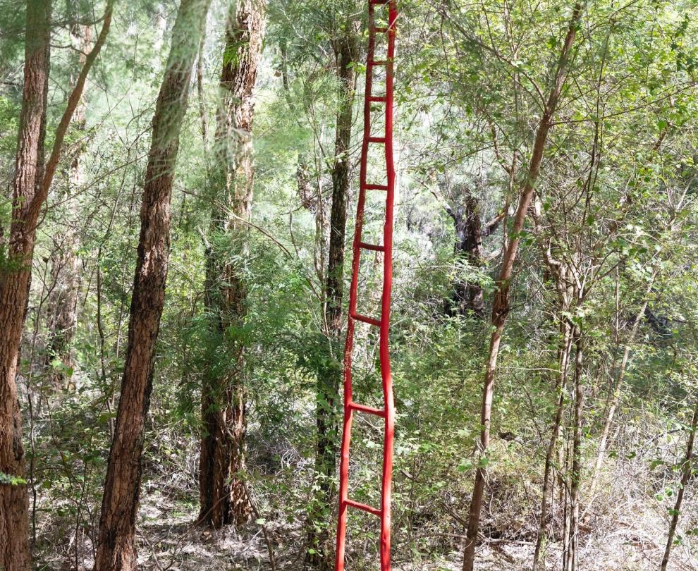 Northcliffe Visitors Centre Overview