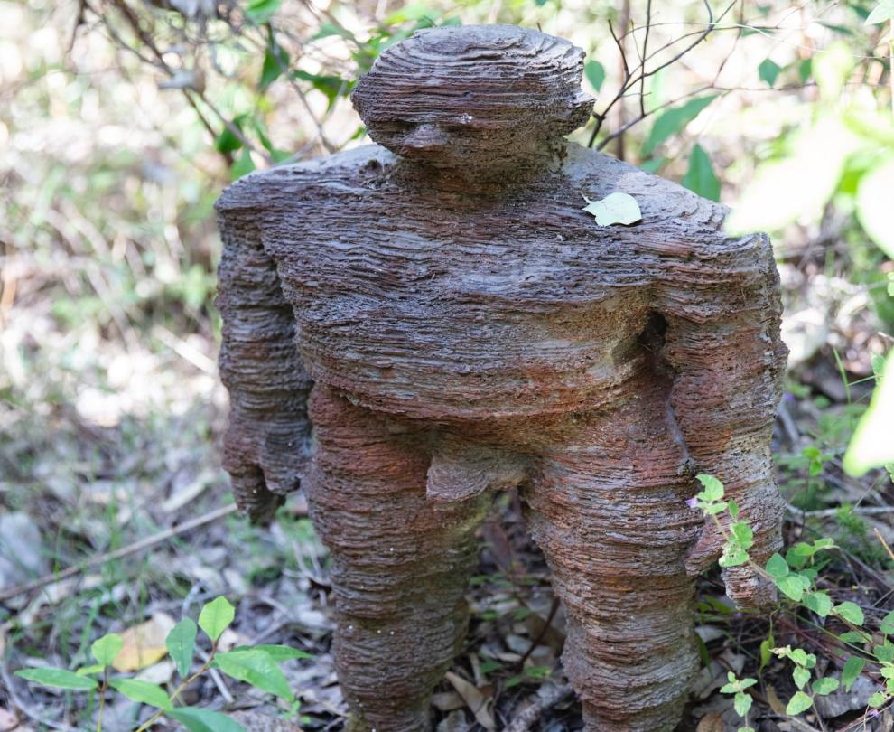 Northcliffe Visitors Centre Overview