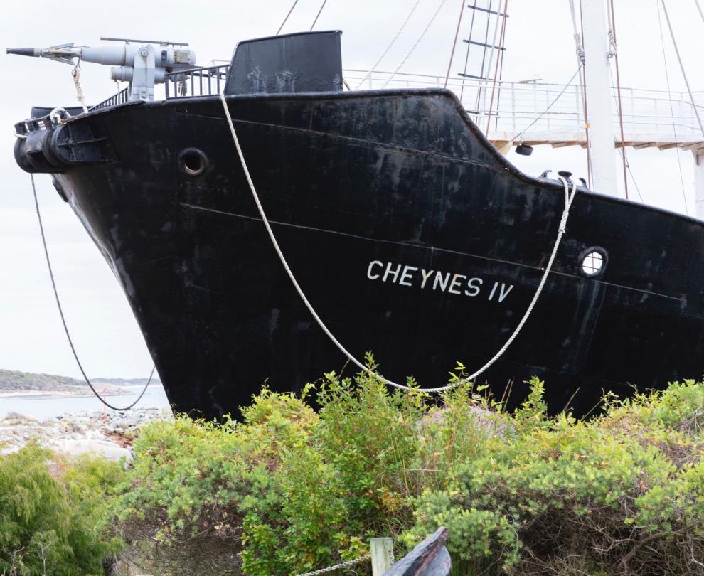 Historic Whaling Station Discovery Bay Overview