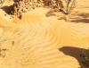 Pinnacles Desert Discovery Centre Overview