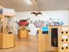 Dalwallinu Discovery Centre Overview