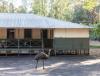 Donnelly River Village Museum Overview