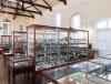 WA School of Mines Mineral Museum Overview