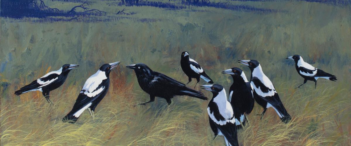 A group of magpies and a raven stand together in a field of waving yellow grass, with trees and sky in the background