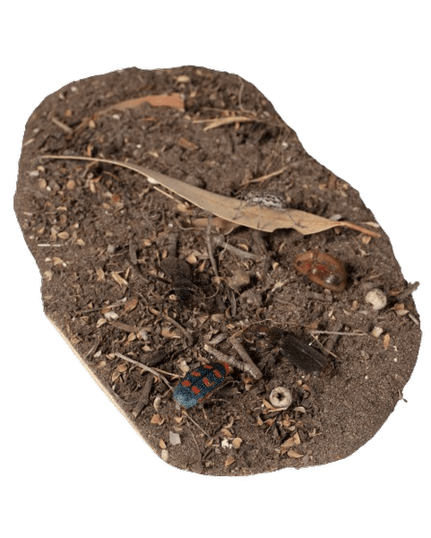 Bejewelled in colour