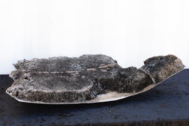 World’s first working laboratory in space