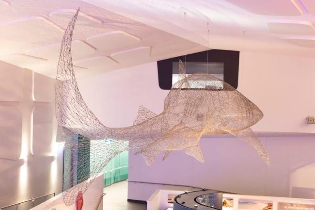 Whale shark wire artwork