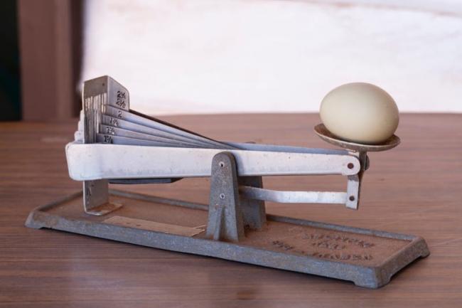 Weighing up the worth of an egg