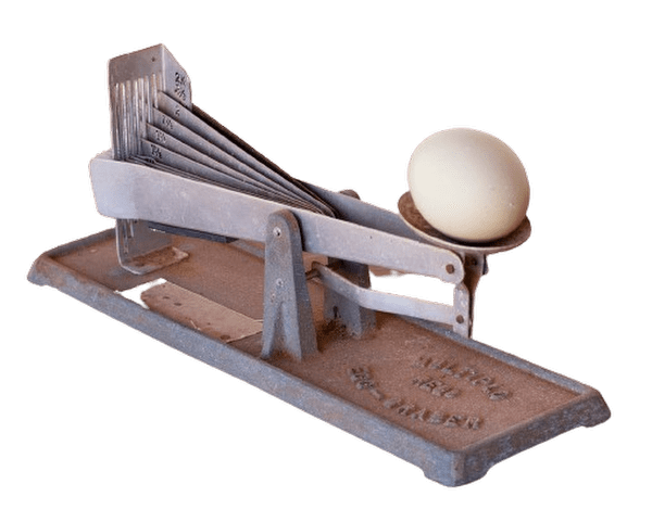 Weighing up the worth of an egg