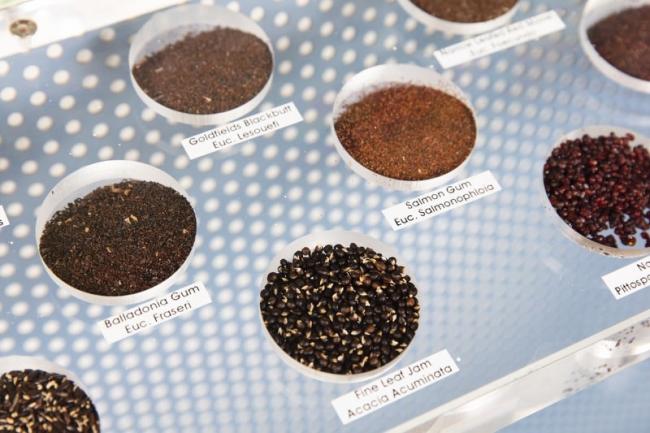 Plants of the arid regions