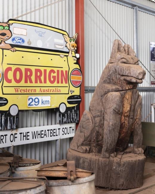 Dog in a ute queue – World Record holders