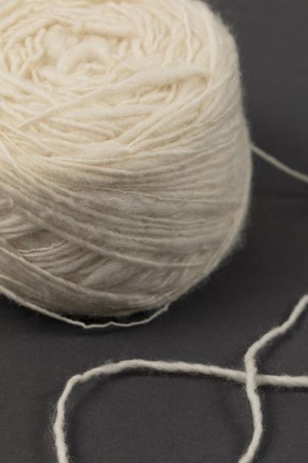 Living off the sheep's back