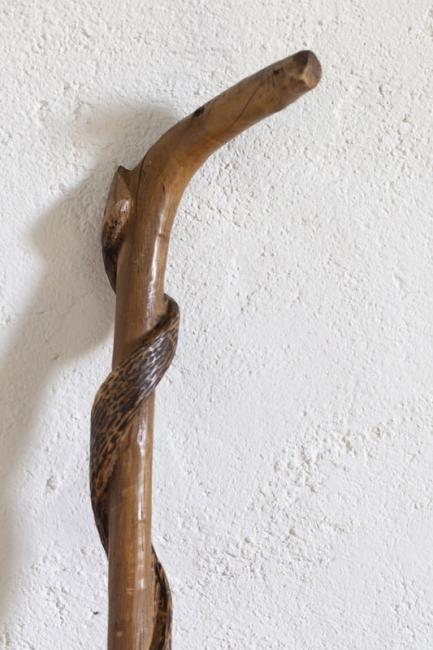 Walking Stick
