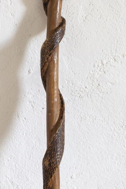 Walking Stick