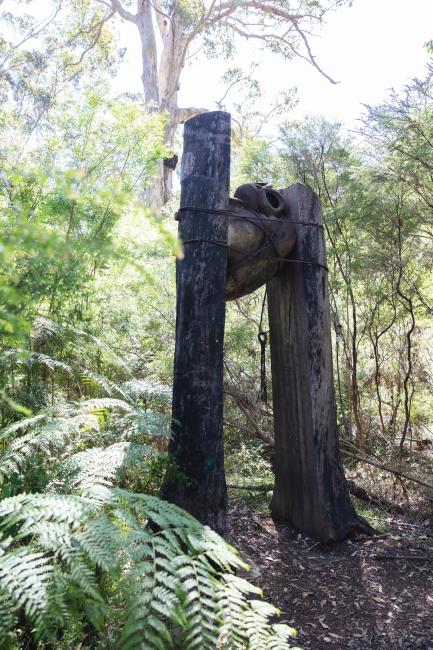 The Understory Art &amp; Nature Trail