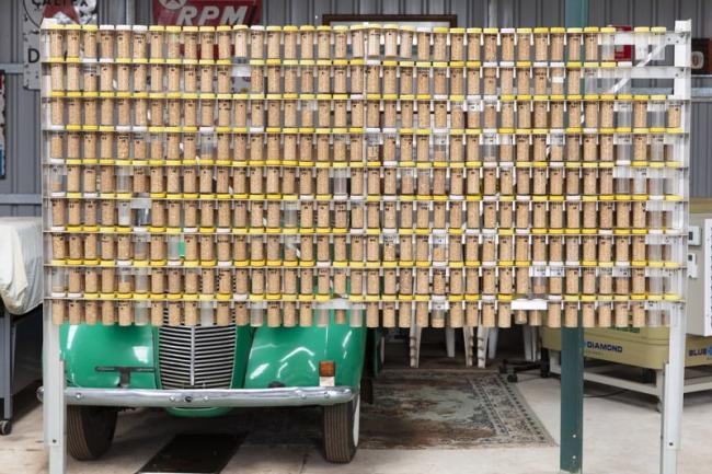 A collection of grain samples dating from 1878