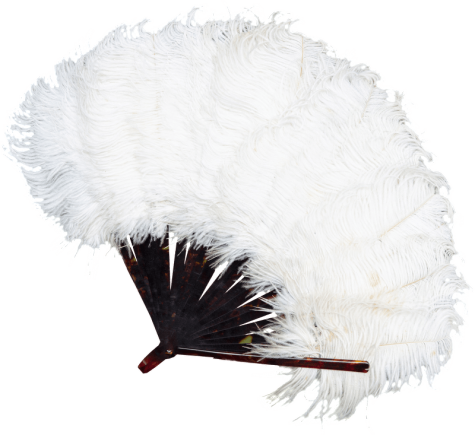 Ostrich feather fan